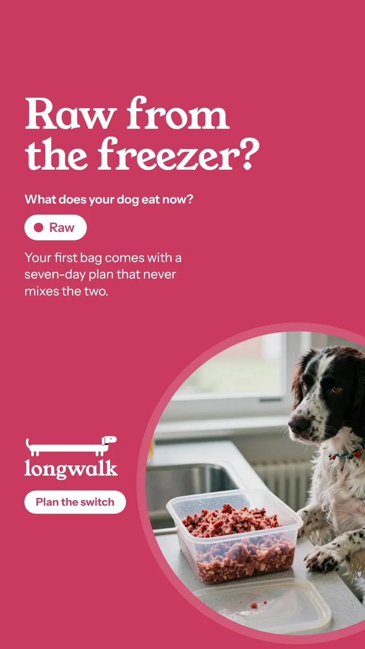 The raw ad in story size: Raw from the freezer, with a spaniel watching a tub of raw food defrost