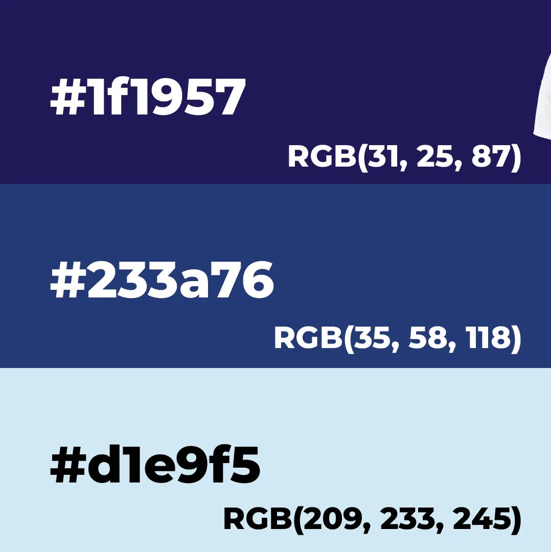 The SoundHome palette: deep indigo #1f1957, mid blue #233a76, pale blue #d1e9f5